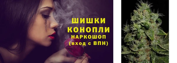 гашик Заводоуковск