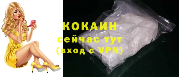 гашик Заводоуковск