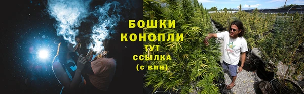 гашик Заводоуковск