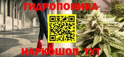 Альфа ПВП Канаш