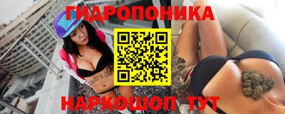Альфа ПВП Канаш