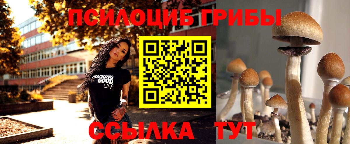 Псилоцибиновые грибы ЛСД Куйбышев
