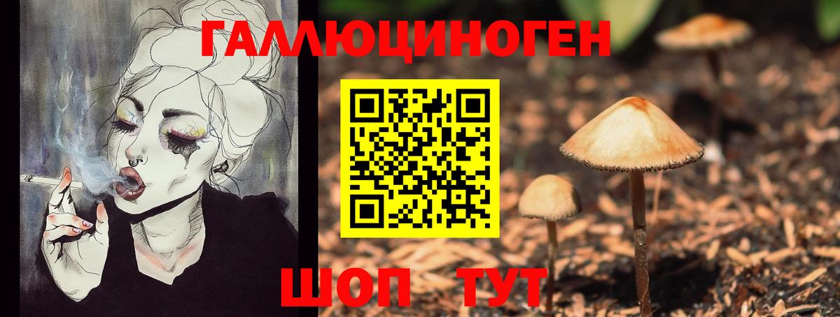 Галлюциногенные грибы Psilocybine cubensis  купить наркотик  Куйбышев  Вход с VPN 